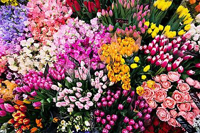 官宣：《红霞岛》首发不支持60帧 更新再推出